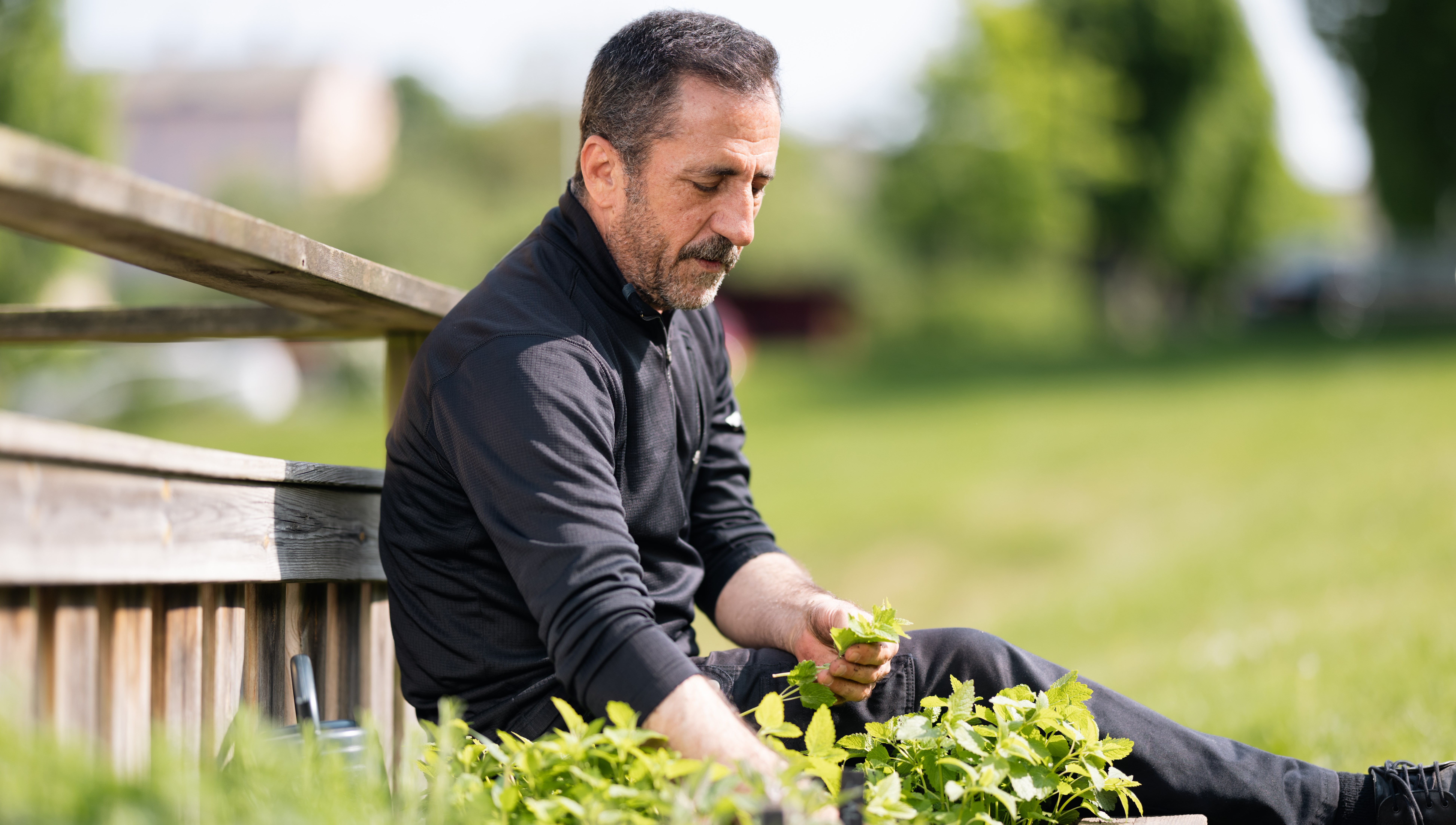 Ingen beskrivning tillgänglig