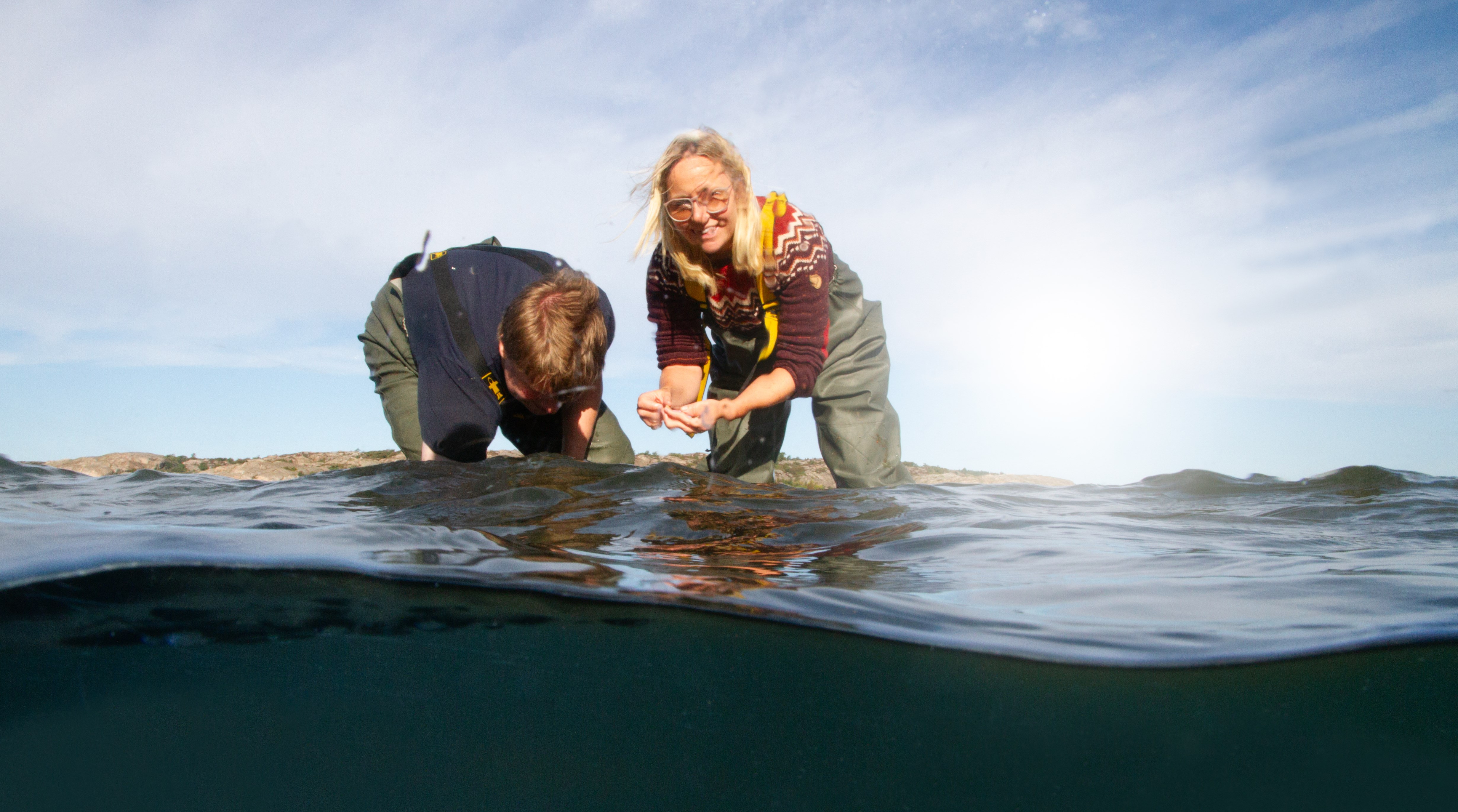 Ingen beskrivning tillgänglig